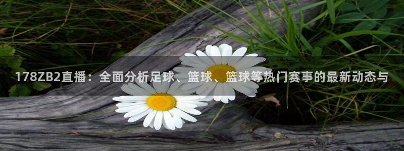 178ZB2直播：全面分析足球、篮球、篮球等热门赛事的最新动态与