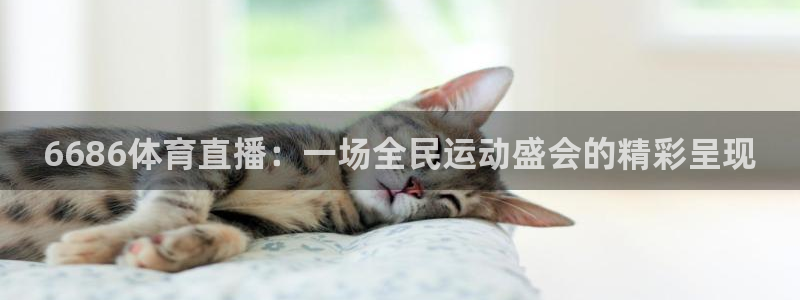 6686体育直播：一场全民运动盛会的精彩呈现