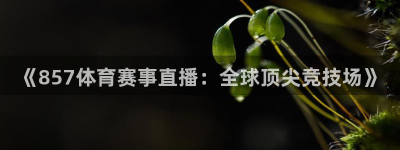 《857体育赛事直播：全球顶尖竞技场》