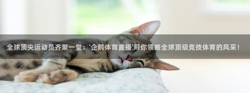 全球顶尖运动员齐聚一堂：\'企鹅体育直播\'带你领略全球顶级竞技体育的风采！