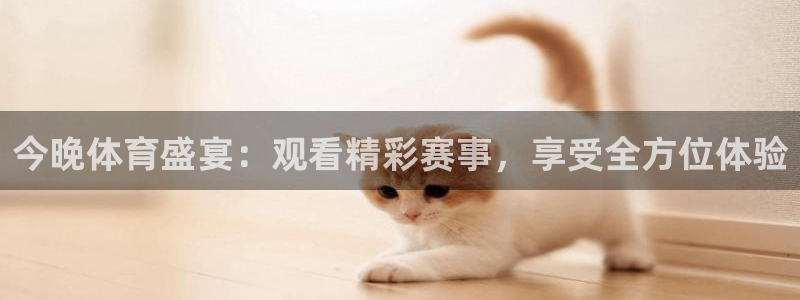 今晚体育盛宴：观看精彩赛事，享受全方位体验