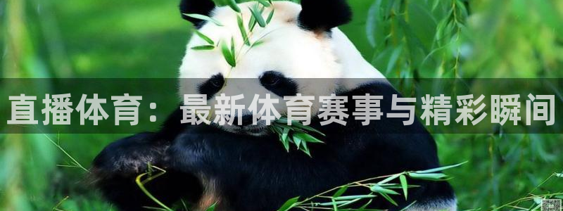 直播体育：最新体育赛事与精彩瞬间