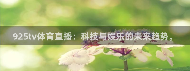925tv体育直播：科技与娱乐的未来趋势。