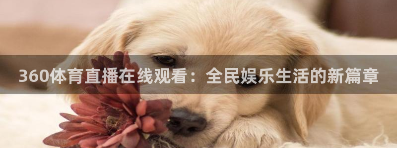 360体育直播在线观看：全民娱乐生活的新篇章