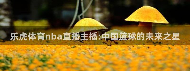 乐虎体育nba直播主播:中国篮球的未来之星