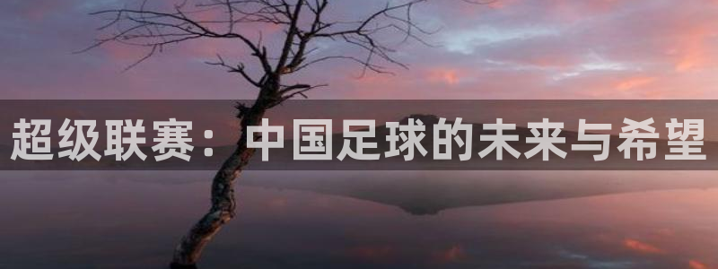超级联赛：中国足球的未来与希望