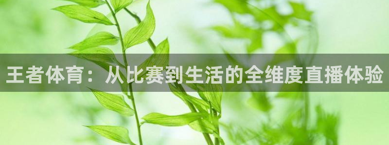 王者体育：从比赛到生活的全维度直播体验