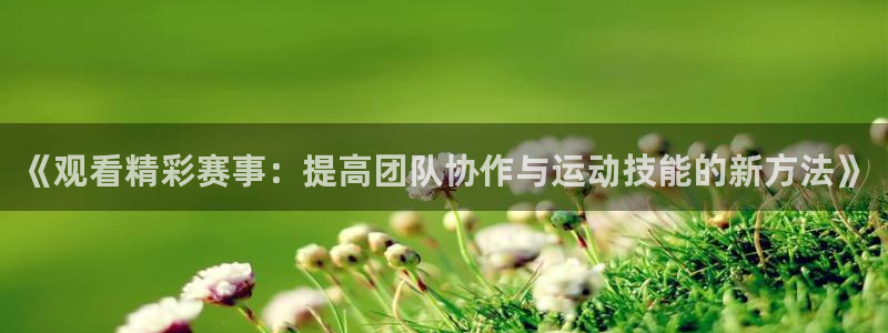 《观看精彩赛事：提高团队协作与运动技能的新方法》