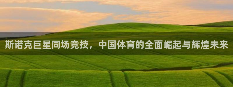 斯诺克巨星同场竞技，中国体育的全面崛起与辉煌未来