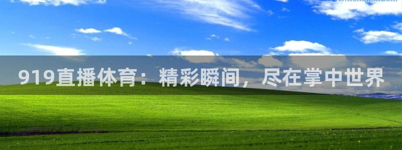 919直播体育：精彩瞬间，尽在掌中世界