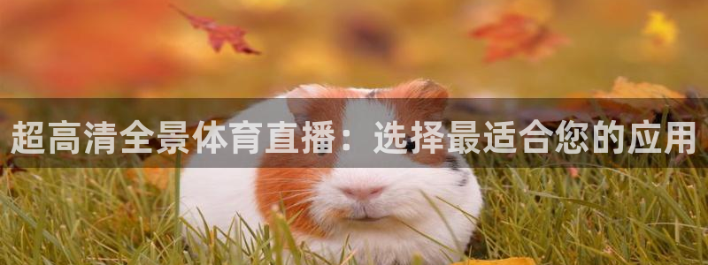 超高清全景体育直播：选择最适合您的应用