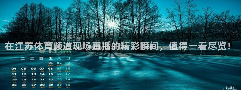 在江苏体育频道现场直播的精彩瞬间，值得一看尽览！
