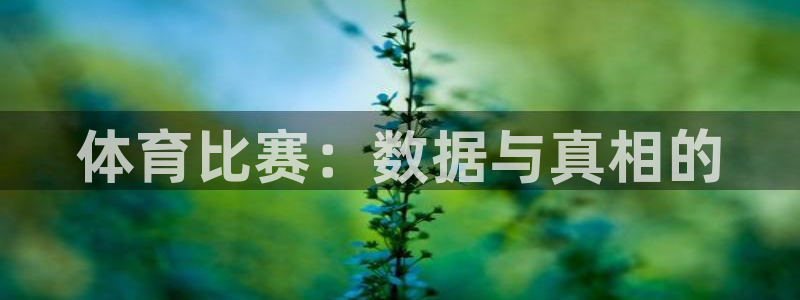 体育比赛：数据与真相的