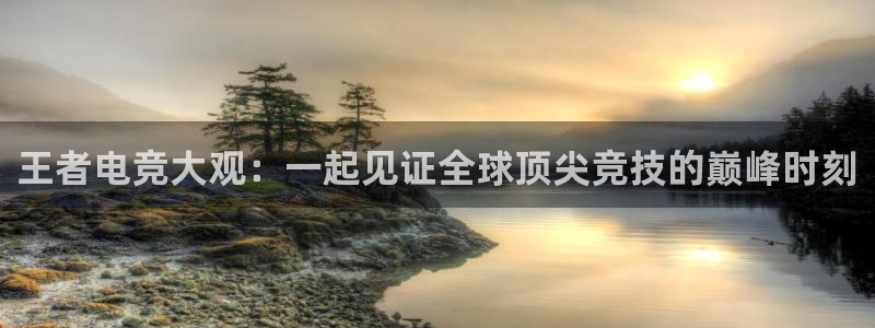王者电竞大观：一起见证全球顶尖竞技的巅峰时刻