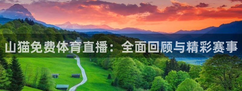 山猫免费体育直播：全面回顾与精彩赛事