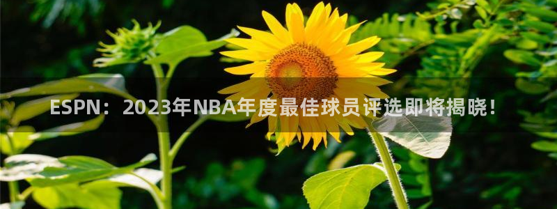 ESPN：2023年NBA年度最佳球员评选即将揭晓！