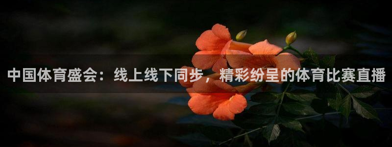 中国体育盛会：线上线下同步，精彩纷呈的体育比赛直播