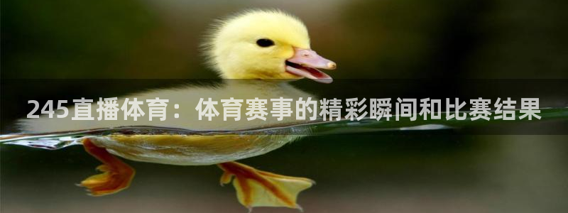 245直播体育：体育赛事的精彩瞬间和比赛结果