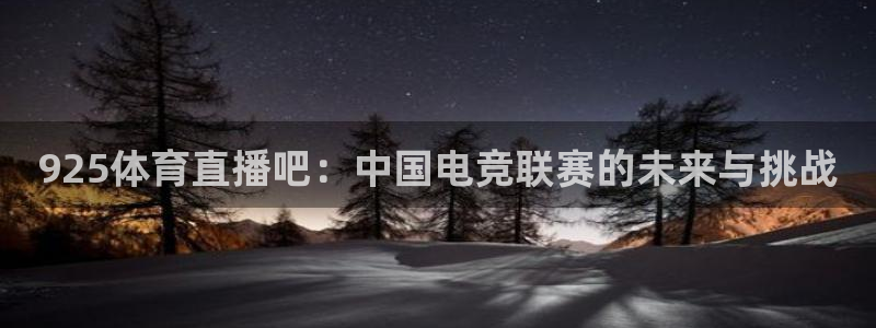 925体育直播吧：中国电竞联赛的未来与挑战