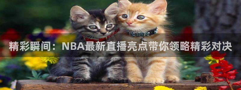 精彩瞬间：NBA最新直播亮点带你领略精彩对决