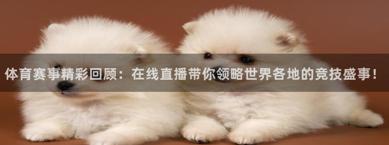 体育赛事精彩回顾：在线直播带你领略世界各地的竞技盛事！