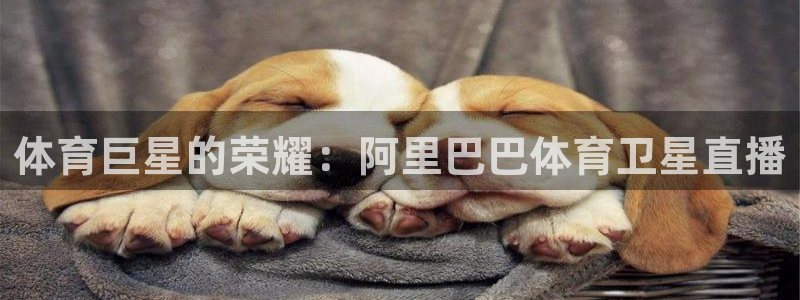 体育巨星的荣耀：阿里巴巴体育卫星直播