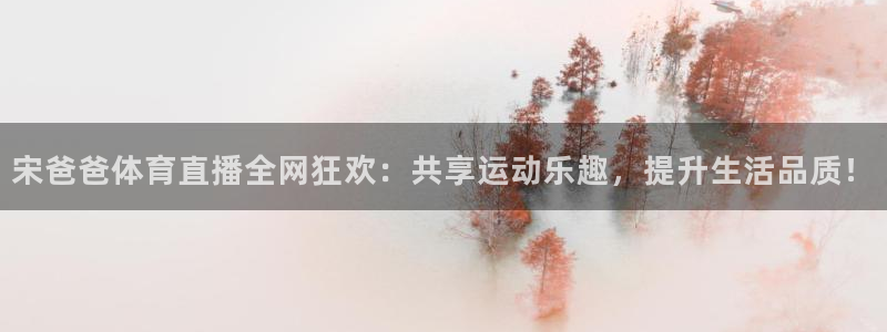宋爸爸体育直播全网狂欢：共享运动乐趣，提升生活品质！