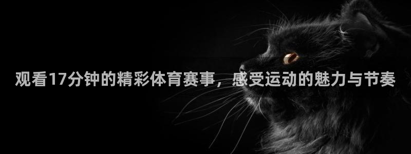 观看17分钟的精彩体育赛事，感受运动的魅力与节奏