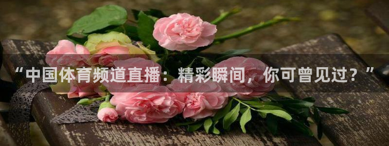 “中国体育频道直播：精彩瞬间，你可曾见过？”