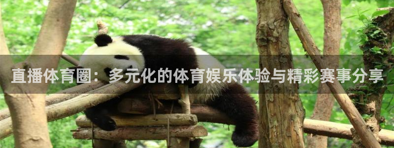 直播体育圈：多元化的体育娱乐体验与精彩赛事分享