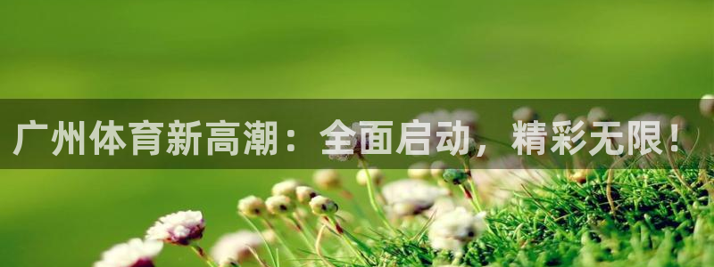 广州体育新高潮：全面启动，精彩无限！