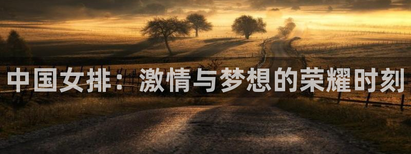 中国女排：激情与梦想的荣耀时刻