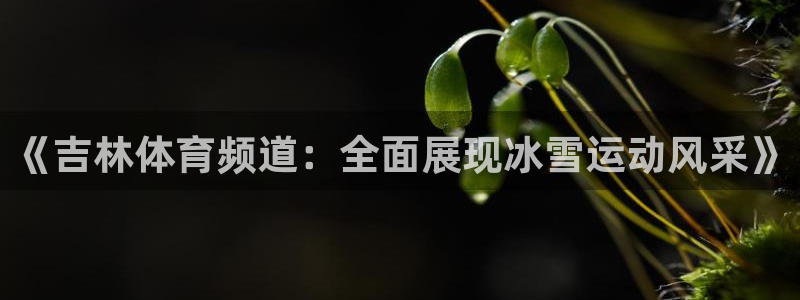 《吉林体育频道：全面展现冰雪运动风采》