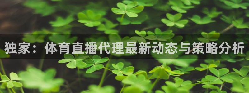 独家：体育直播代理最新动态与策略分析