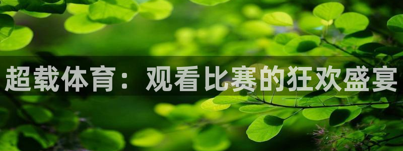 超载体育：观看比赛的狂欢盛宴