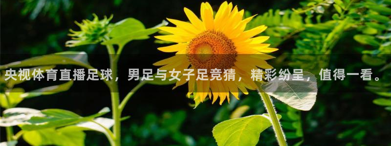 央视体育直播足球，男足与女子足竞猜，精彩纷呈，值得一看。