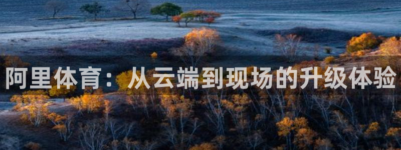 阿里体育：从云端到现场的升级体验