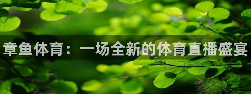 章鱼体育：一场全新的体育直播盛宴