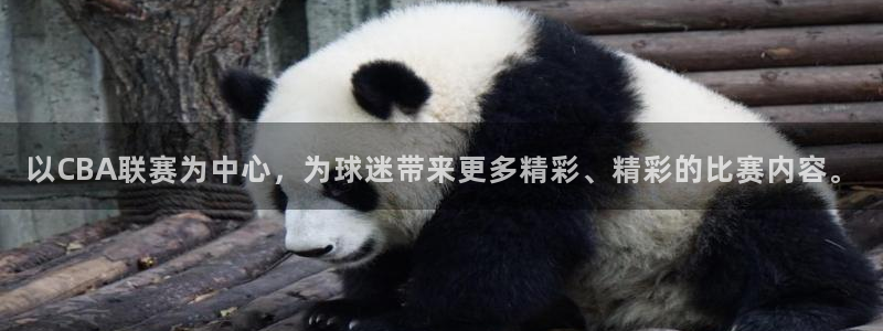 以CBA联赛为中心，为球迷带来更多精彩、精彩的比赛内容。