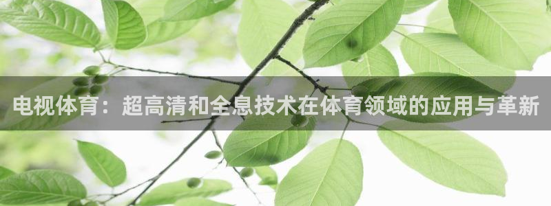 电视体育：超高清和全息技术在体育领域的应用与革新