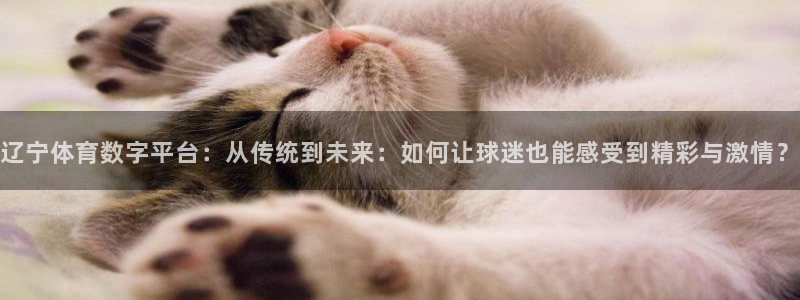 辽宁体育数字平台：从传统到未来：如何让球迷也能感受到精彩与激情？