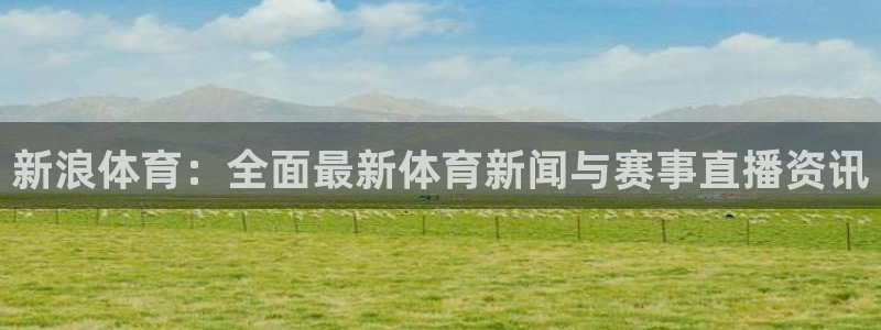 新浪体育：全面最新体育新闻与赛事直播资讯