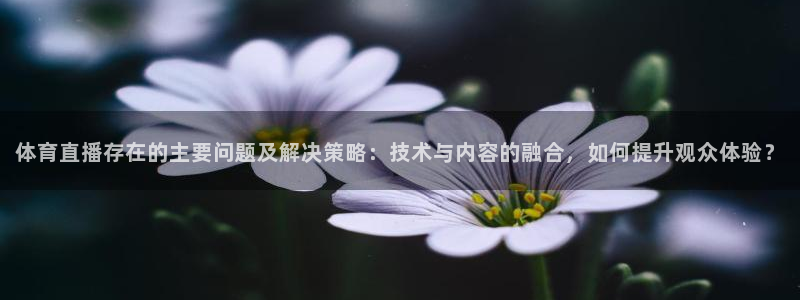 体育直播存在的主要问题及解决策略：技术与内容的融合，如何提升观众体验？